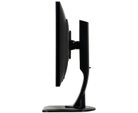 IIYAMA B2483HS-B1 - 174048 - zdjęcie 6